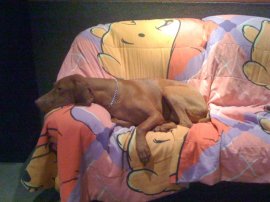 Bodi in the edit bay being T2