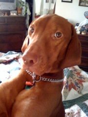 Bodi looking cool