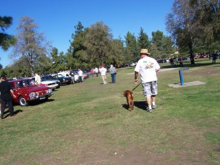 car_show_4