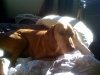 Tucker, sweet as always