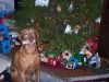 Christmas Presents 2