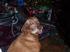 Christmas Presents 3